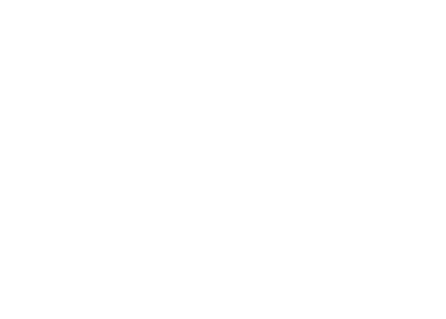 SFS LOAD BEARING